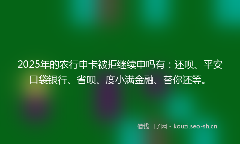 2025年的农行申卡被拒继续申吗有：还呗、平安口袋银行、省呗、度小满金融、替你还等。