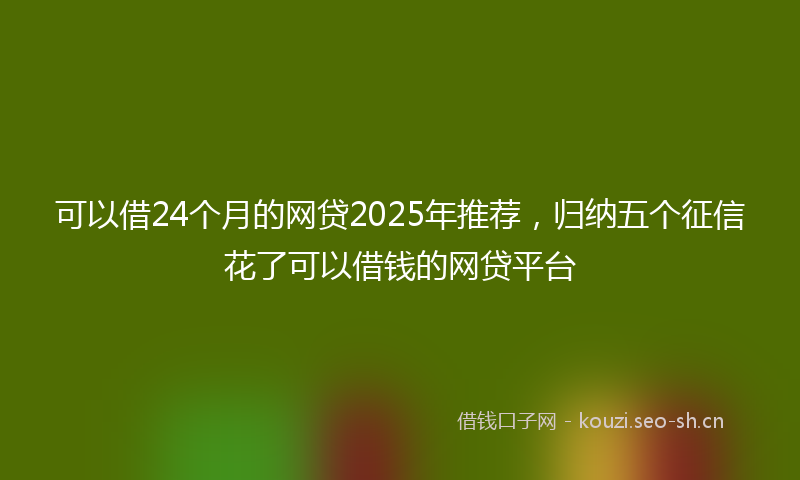 可以借24个月的网贷2025年推荐，归纳五个征信花了可以借钱的网贷平台