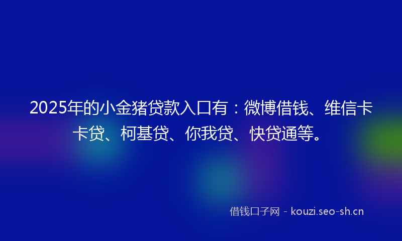 2025年的小金猪贷款入口有：微博借钱、维信卡卡贷、柯基贷、你我贷、快贷通等。