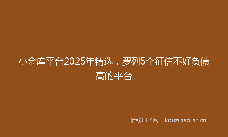 小金库平台2025年精选，罗列5个征信不好负债高的平台