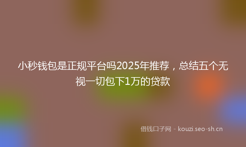 小秒钱包是正规平台吗2025年推荐，总结五个无视一切包下1万的贷款