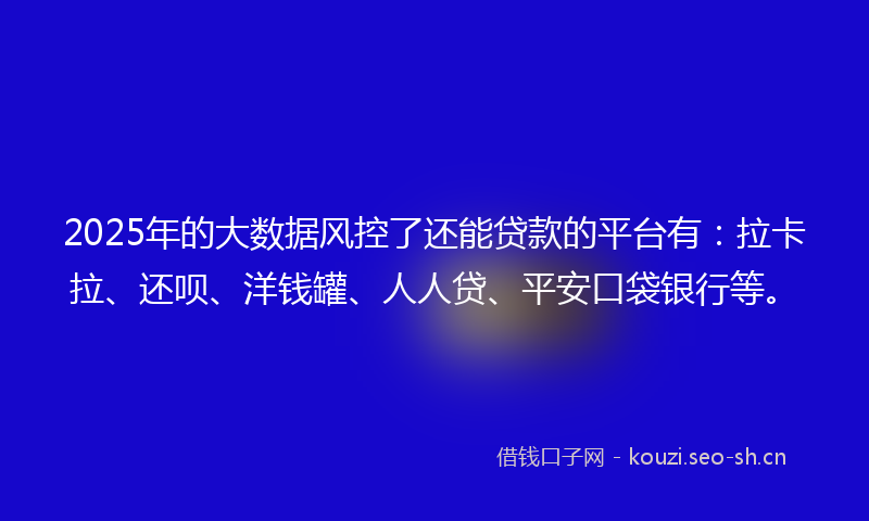 2025年的大数据风控了还能贷款的平台有：拉卡拉、还呗、洋钱罐、人人贷、平安口袋银行等。