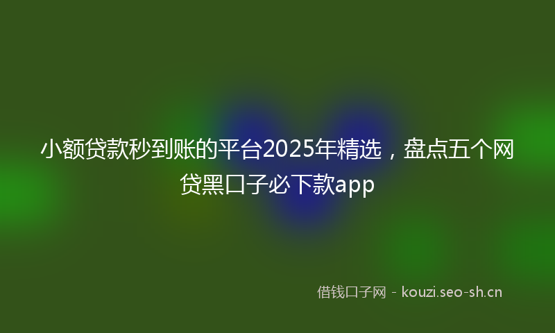 小额贷款秒到账的平台2025年精选，盘点五个网贷黑口子必下款app