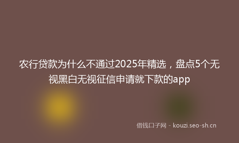 农行贷款为什么不通过2025年精选，盘点5个无视黑白无视征信申请就下款的app