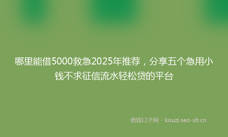 哪里能借5000救急2025年推荐，分享五个急用小钱不求征信流水轻松贷的平台
