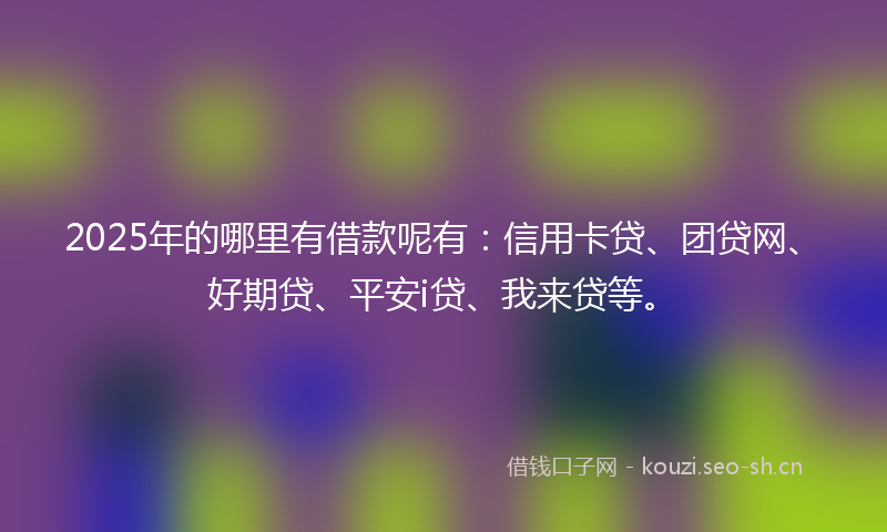 2025年的哪里有借款呢有：信用卡贷、团贷网、好期贷、平安i贷、我来贷等。
