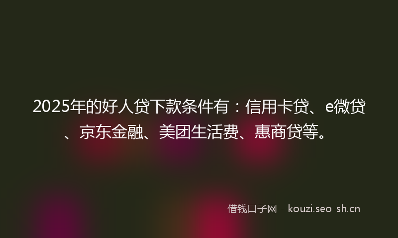 2025年的好人贷下款条件有：信用卡贷、e微贷、京东金融、美团生活费、惠商贷等。