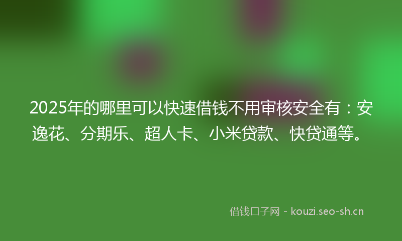 2025年的哪里可以快速借钱不用审核安全有:安逸花、分期乐、超人卡、小米贷款、快贷通等。