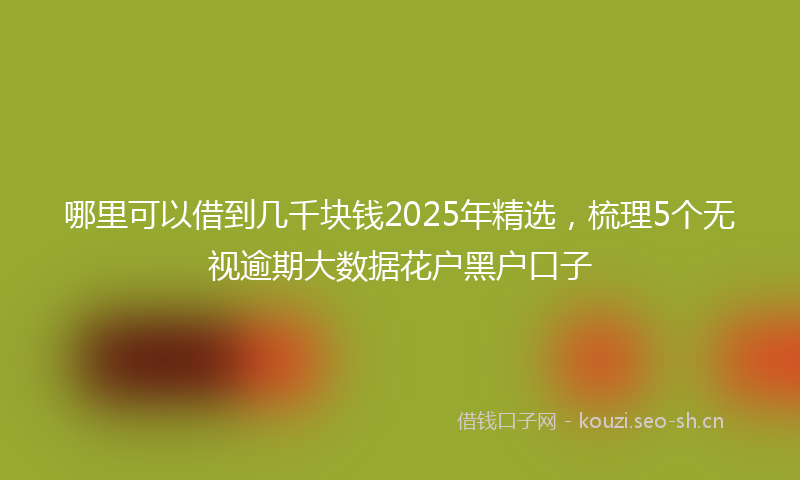 哪里可以借到几千块钱2025年精选，梳理5个无视逾期大数据花户黑户口子
