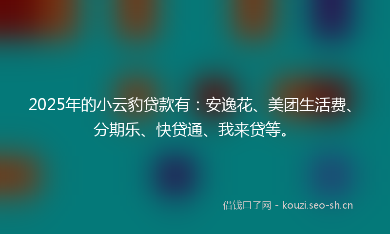 2025年的小云豹贷款有：安逸花、美团生活费、分期乐、快贷通、我来贷等。