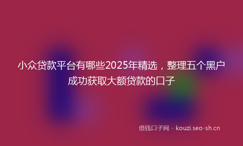 小众贷款平台有哪些2025年精选，整理五个黑户成功获取大额贷款的口子