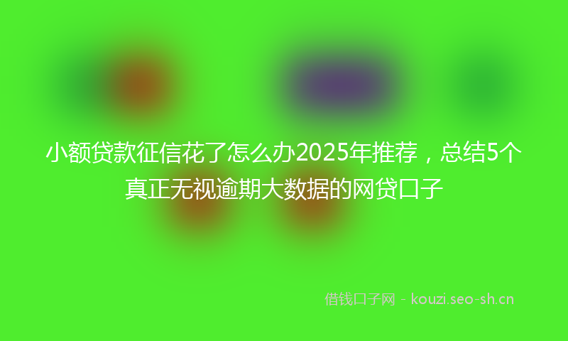 小额贷款征信花了怎么办2025年推荐，总结5个真正无视逾期大数据的网贷口子
