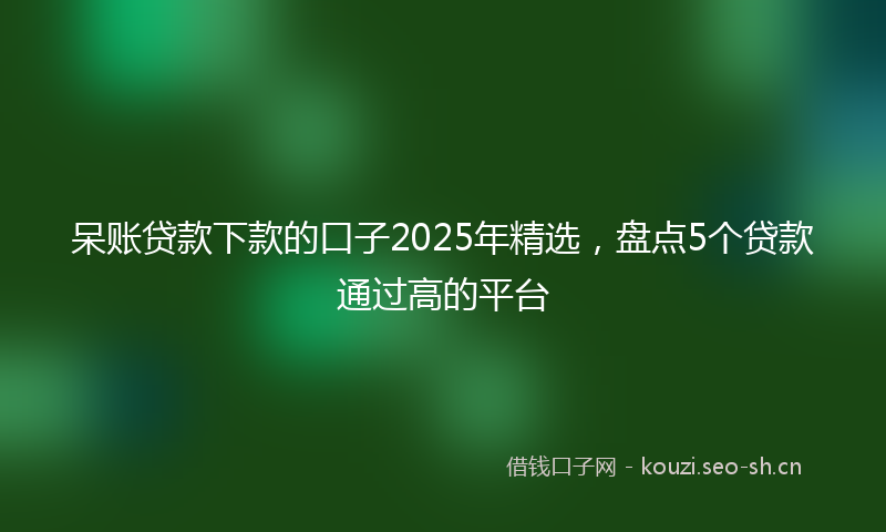 呆账贷款下款的口子2025年精选，盘点5个贷款通过高的平台
