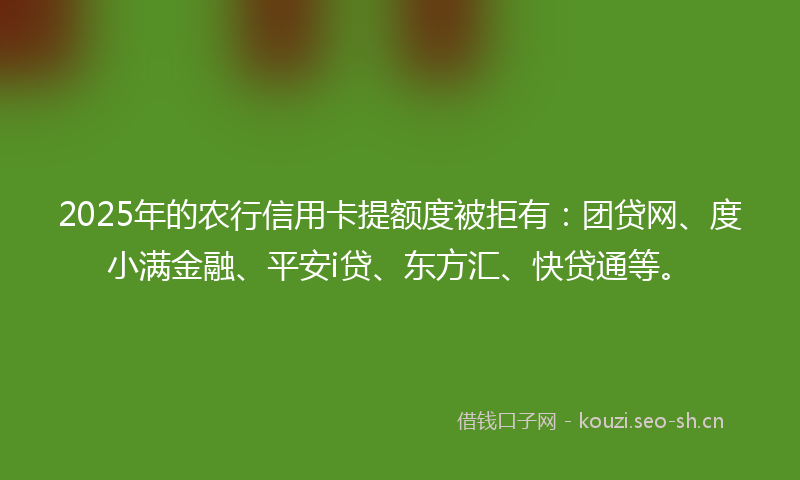 2025年的农行信用卡提额度被拒有：团贷网、度小满金融、平安i贷、东方汇、快贷通等。