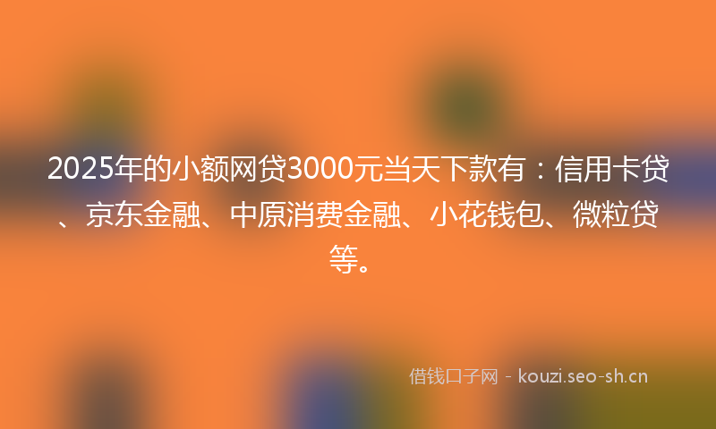 2025年的小额网贷3000元当天下款有：信用卡贷、京东金融、中原消费金融、小花钱包、微粒贷等。