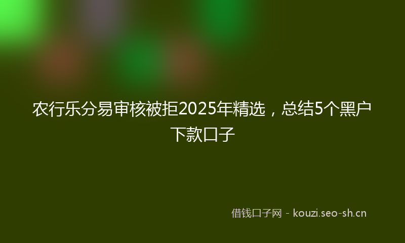 农行乐分易审核被拒2025年精选，总结5个黑户下款口子
