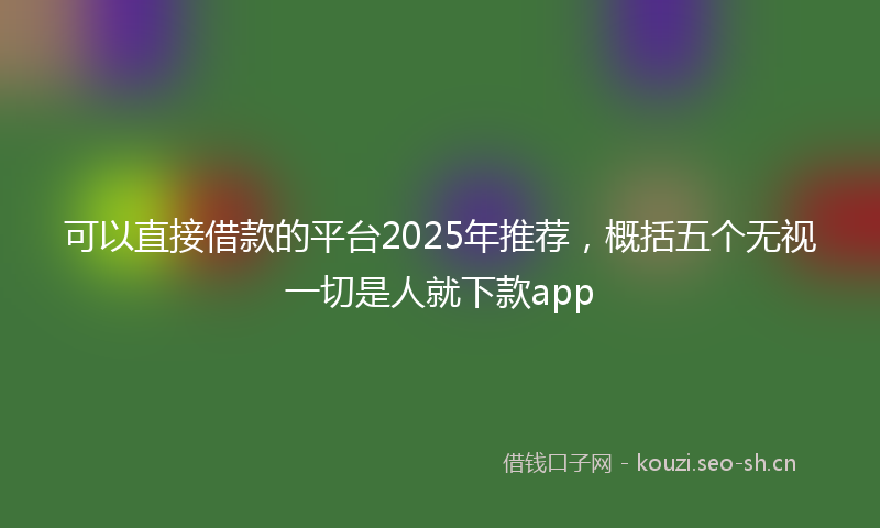 可以直接借款的平台2025年推荐，概括五个无视一切是人就下款app