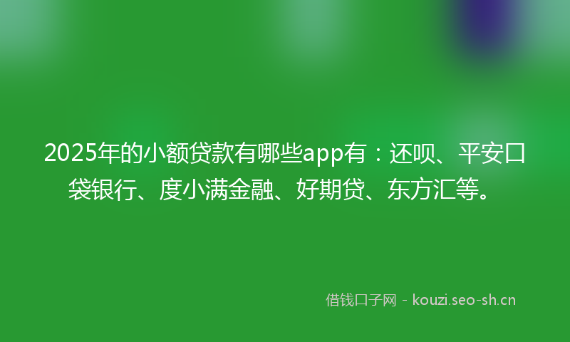 2025年的小额贷款有哪些app有：还呗、平安口袋银行、度小满金融、好期贷、东方汇等。