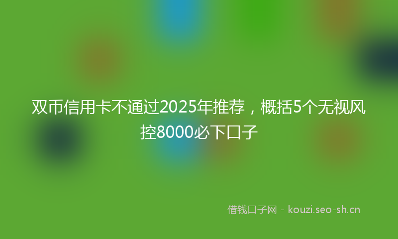 双币信用卡不通过2025年推荐，概括5个无视风控8000必下口子
