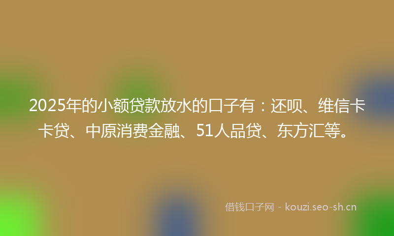 2025年的小额贷款放水的口子有：还呗、维信卡卡贷、中原消费金融、51人品贷、东方汇等。