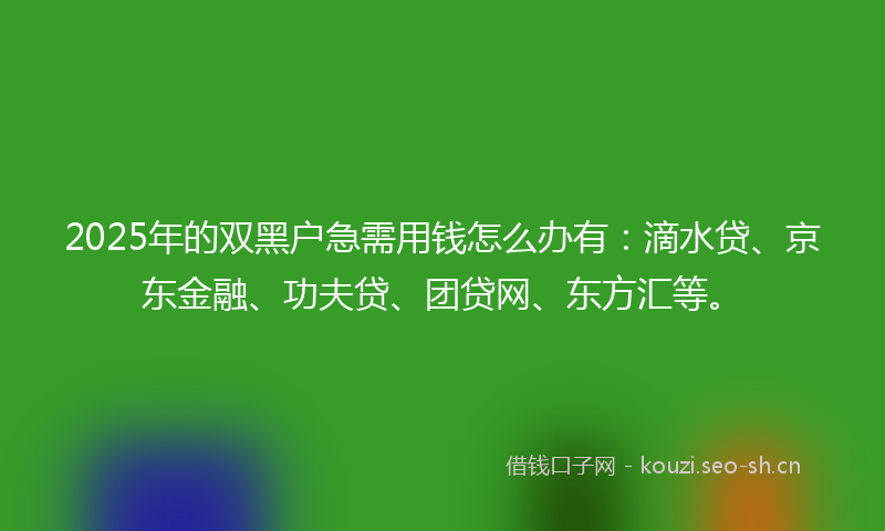 2025年的双黑户急需用钱怎么办有：滴水贷、京东金融、功夫贷、团贷网、东方汇等。