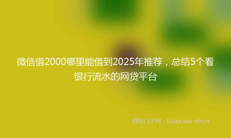 微信借2000哪里能借到2025年推荐，总结5个看银行流水的网贷平台