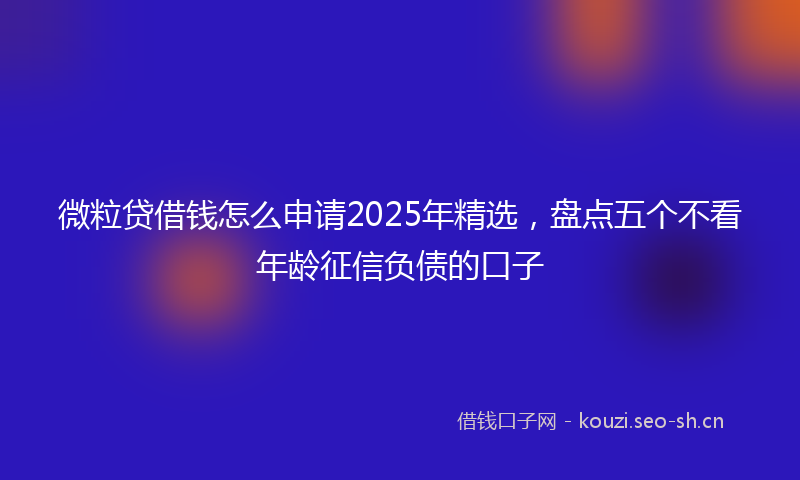 微粒贷借钱怎么申请2025年精选，盘点五个不看年龄征信负债的口子