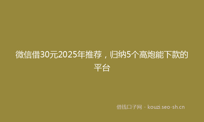 微信借30元2025年推荐，归纳5个高炮能下款的平台