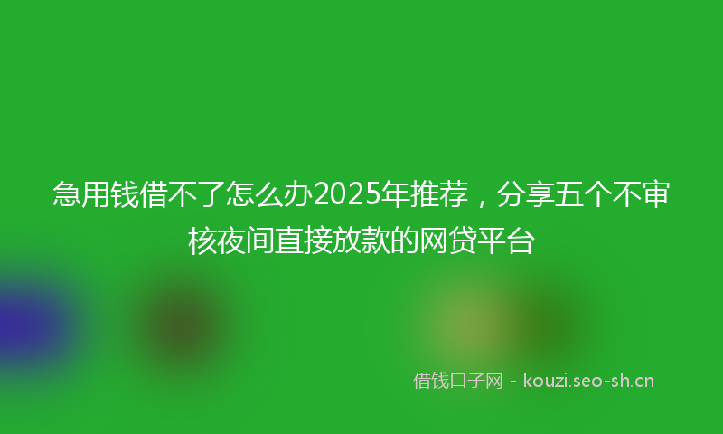 急用钱借不了怎么办2025年推荐，分享五个不审核夜间直接放款的网贷平台