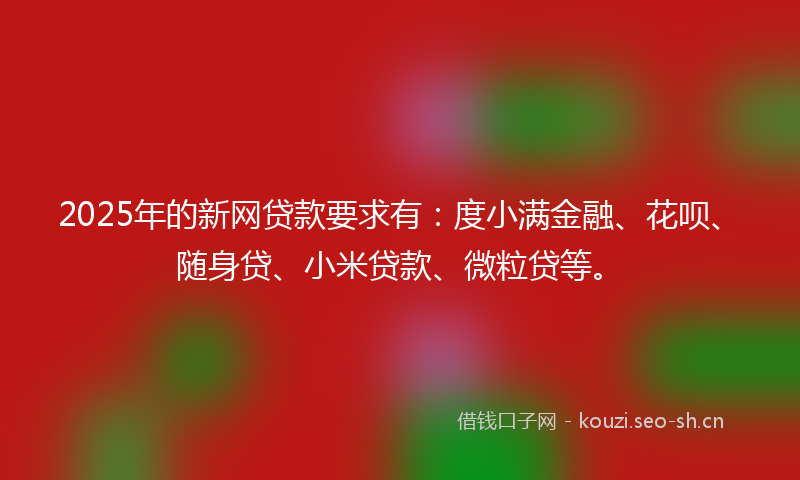 2025年的新网贷款要求有：度小满金融、花呗、随身贷、小米贷款、微粒贷等。