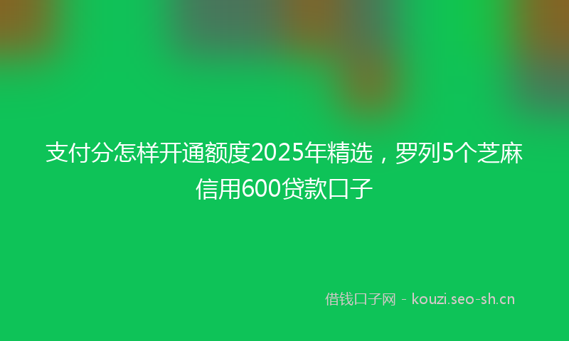 支付分怎样开通额度2025年精选，罗列5个芝麻信用600贷款口子