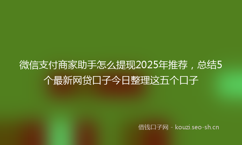 微信支付商家助手怎么提现2025年推荐，总结5个最新网贷口子今日整理这五个口子