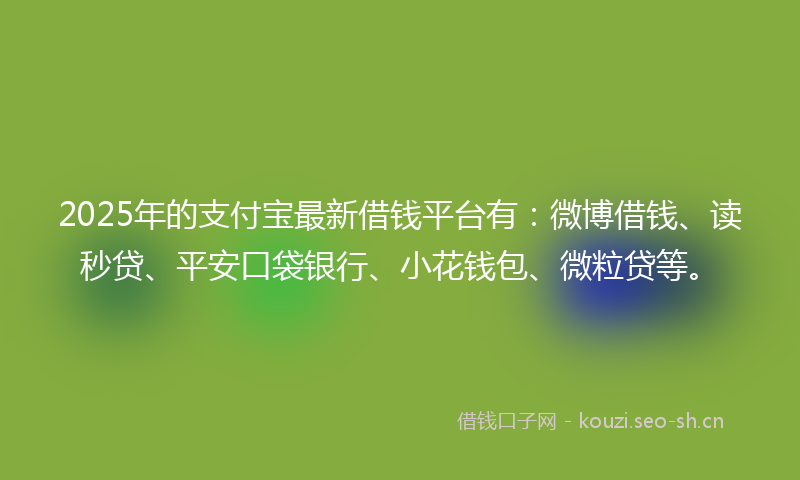2025年的支付宝最新借钱平台有：微博借钱、读秒贷、平安口袋银行、小花钱包、微粒贷等。