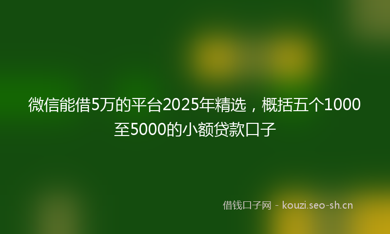 微信能借5万的平台2025年精选，概括五个1000至5000的小额贷款口子