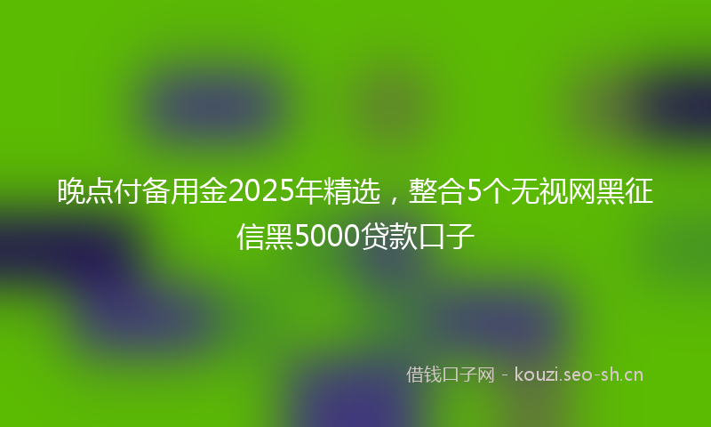 晚点付备用金2025年精选，整合5个无视网黑征信黑5000贷款口子