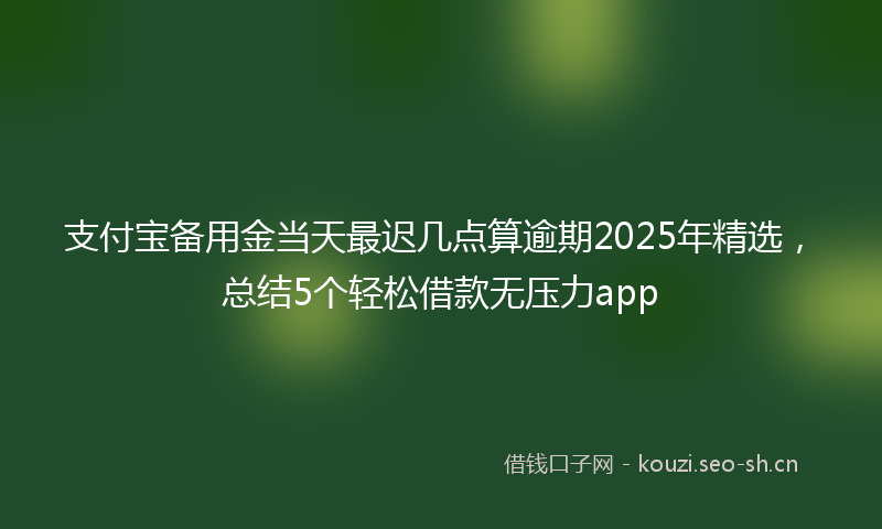 支付宝备用金当天最迟几点算逾期2025年精选，总结5个轻松借款无压力app