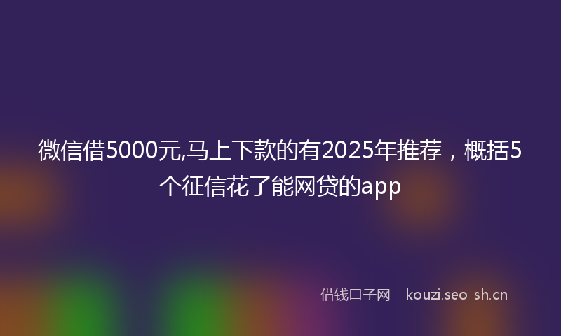 微信借5000元,马上下款的有2025年推荐，概括5个征信花了能网贷的app