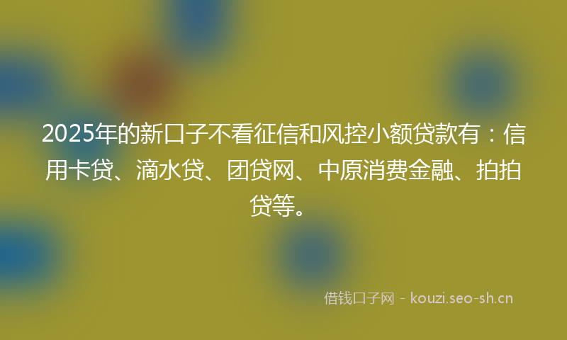 2025年的新口子不看征信和风控小额贷款有:信用卡贷、滴水贷、团贷网、中原消费金融、拍拍贷等。