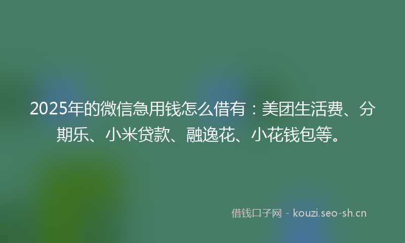 2025年的微信急用钱怎么借有:美团生活费、分期乐、小米贷款、融逸花、小花钱包等。