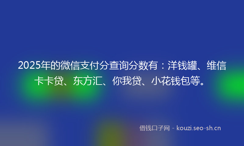 2025年的微信支付分查询分数有：洋钱罐、维信卡卡贷、东方汇、你我贷、小花钱包等。