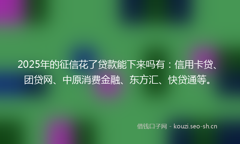 2025年的征信花了贷款能下来吗有:信用卡贷、团贷网、中原消费金融、东方汇、快贷通等。