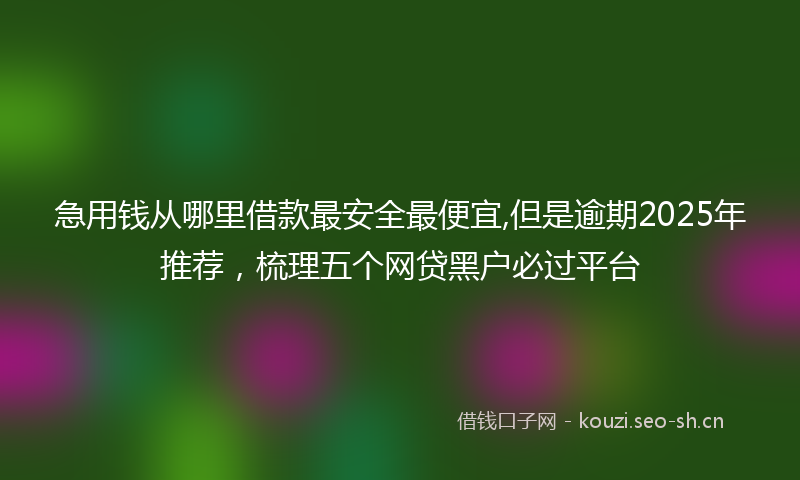 急用钱从哪里借款最安全最便宜,但是逾期2025年推荐，梳理五个网贷黑户必过平台