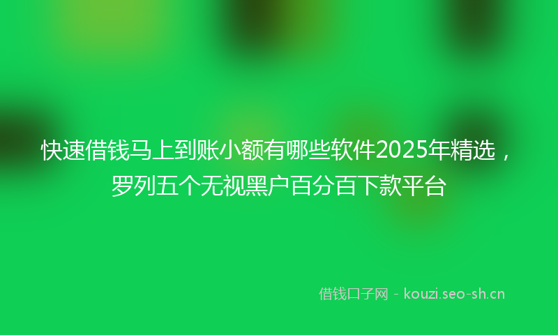 快速借钱马上到账小额有哪些软件2025年精选，罗列五个无视黑户百分百下款平台