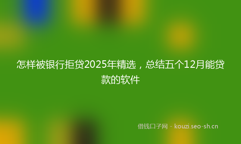 怎样被银行拒贷2025年精选，总结五个12月能贷款的软件