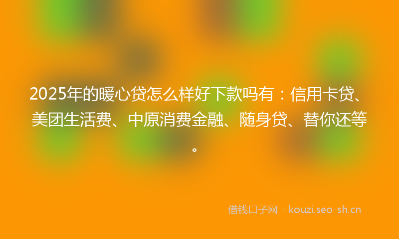 2025年的暖心贷怎么样好下款吗有:信用卡贷、美团生活费、中原消费金融、随身贷、替你还等。