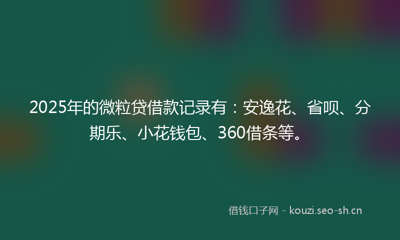 2025年的微粒贷借款记录有：安逸花、省呗、分期乐、小花钱包、360借条等。
