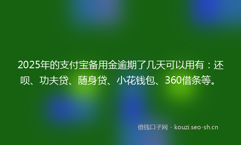 2025年的支付宝备用金逾期了几天可以用有：还呗、功夫贷、随身贷、小花钱包、360借条等。