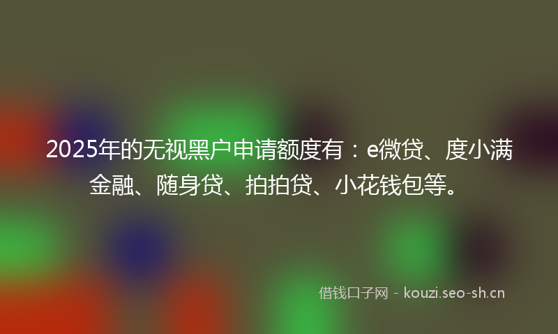 2025年的无视黑户申请额度有：e微贷、度小满金融、随身贷、拍拍贷、小花钱包等。