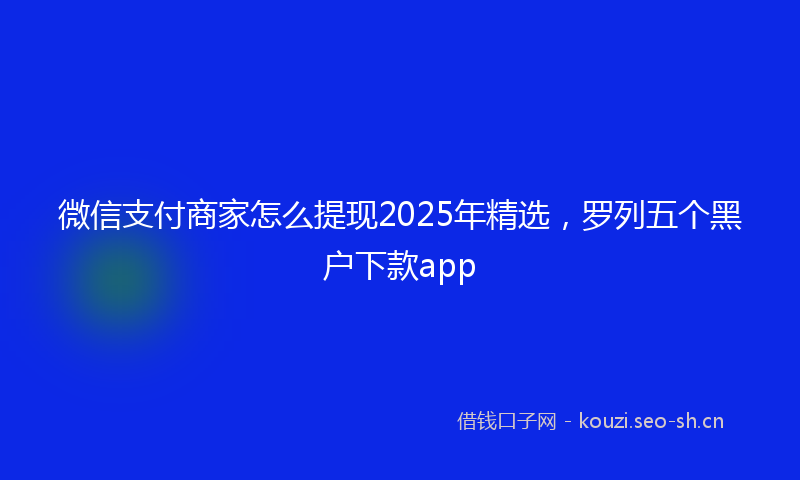 微信支付商家怎么提现2025年精选，罗列五个黑户下款app