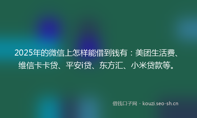 2025年的微信上怎样能借到钱有：美团生活费、维信卡卡贷、平安i贷、东方汇、小米贷款等。